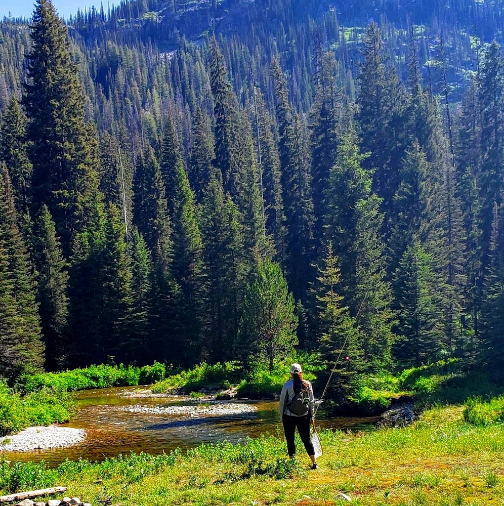 Meet your Posher, Tiffany